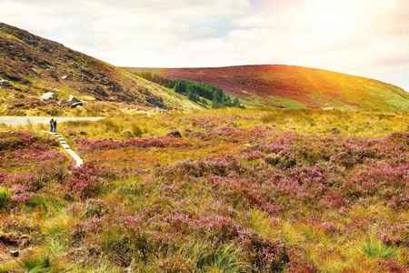 Wicklow