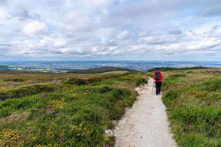 Wicklow"