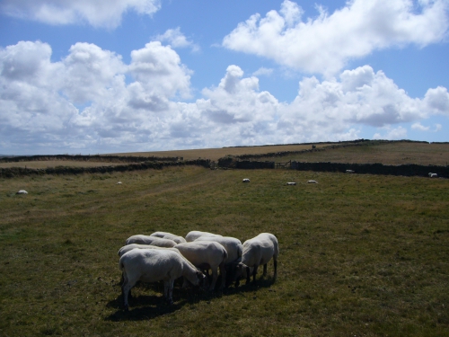 Wandelvakantie