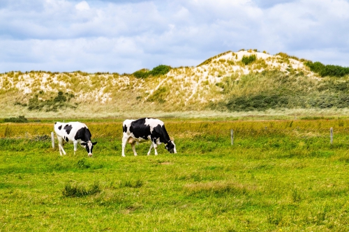 Wandelreis