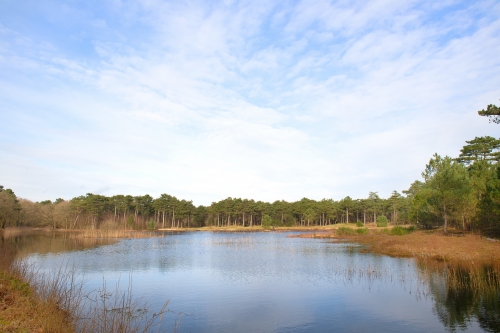 Wandelreis
