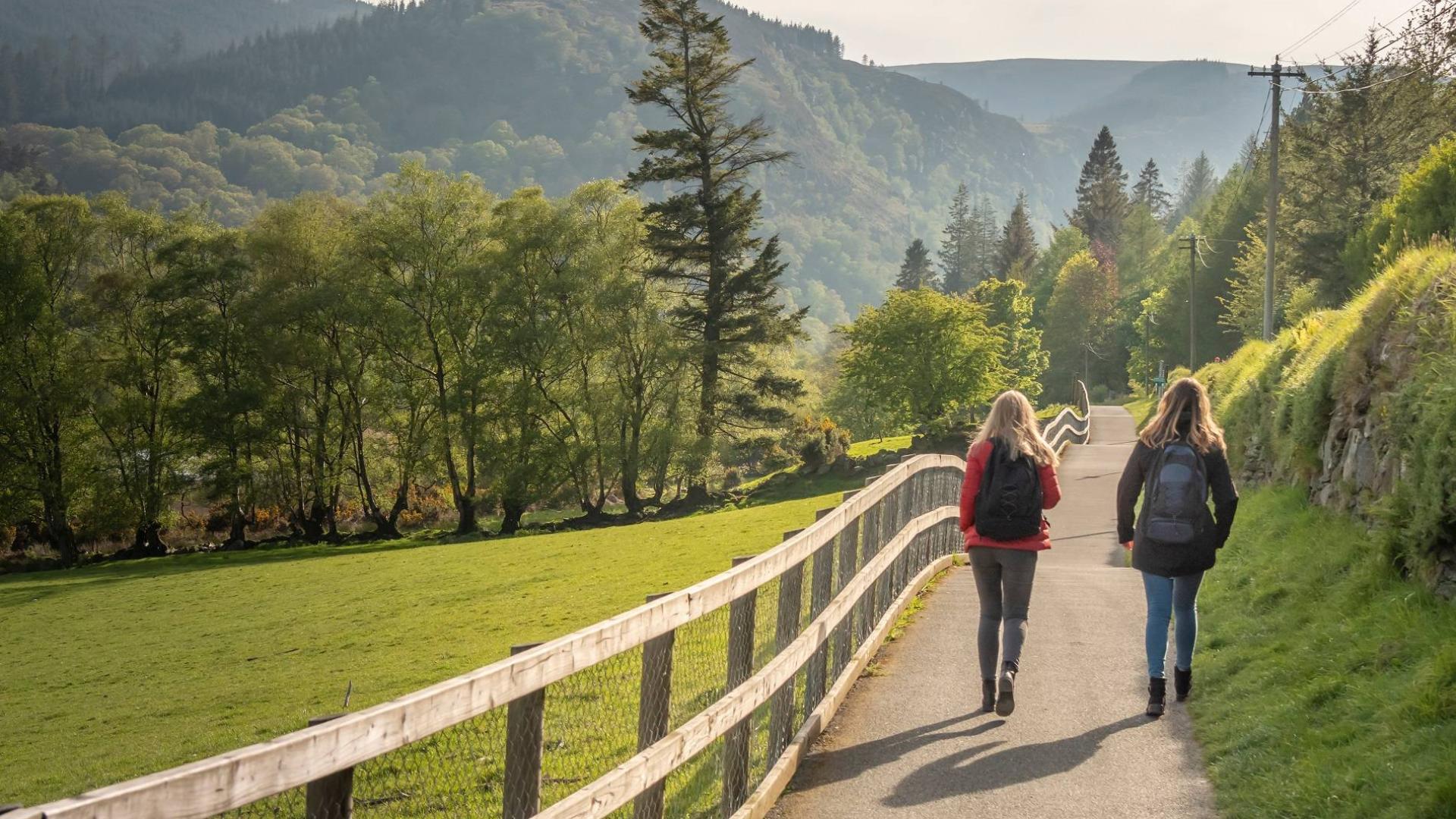 wandelaars op de Wicklow Way