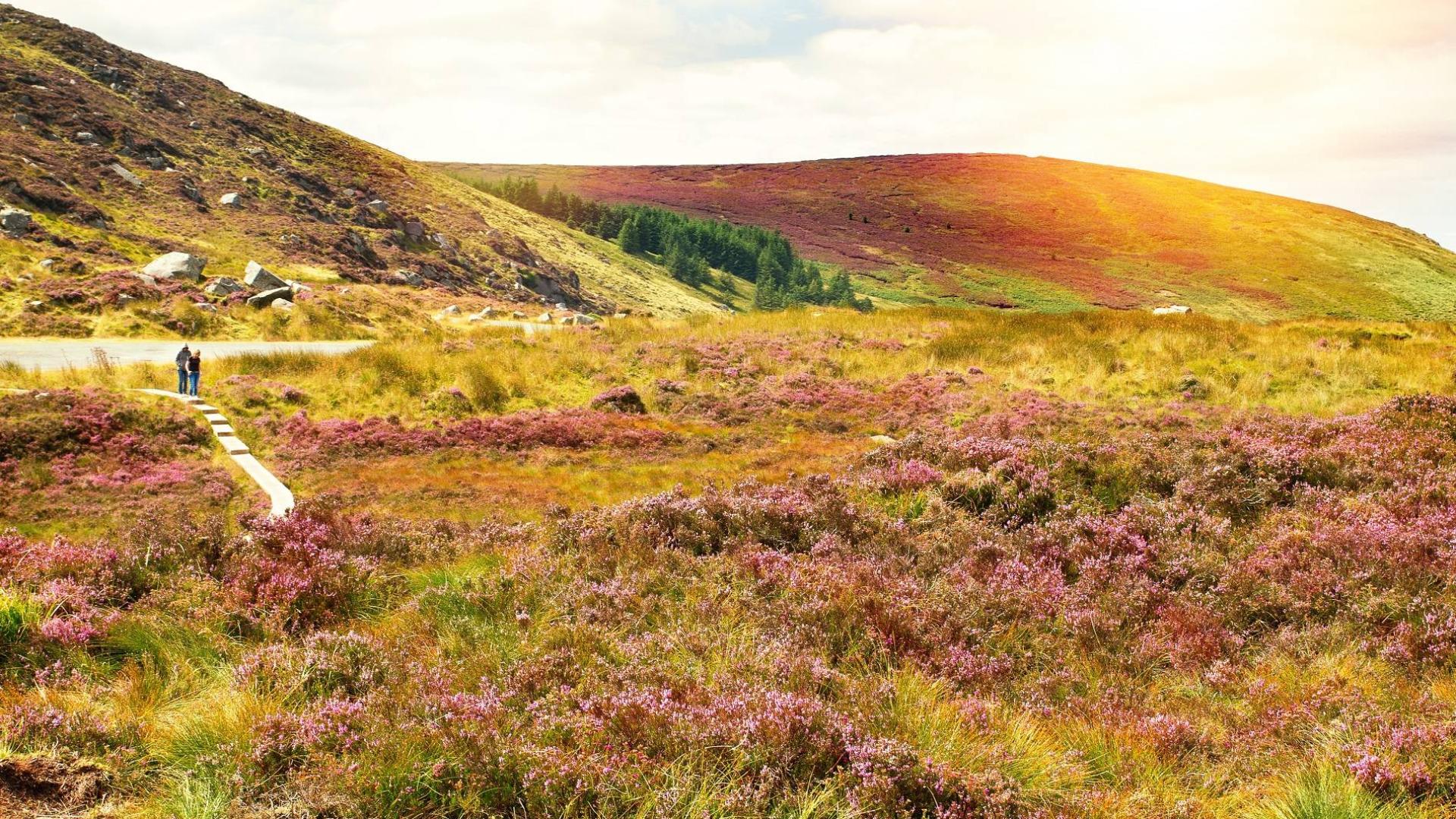 het landschap van de Wicklow Mountains
