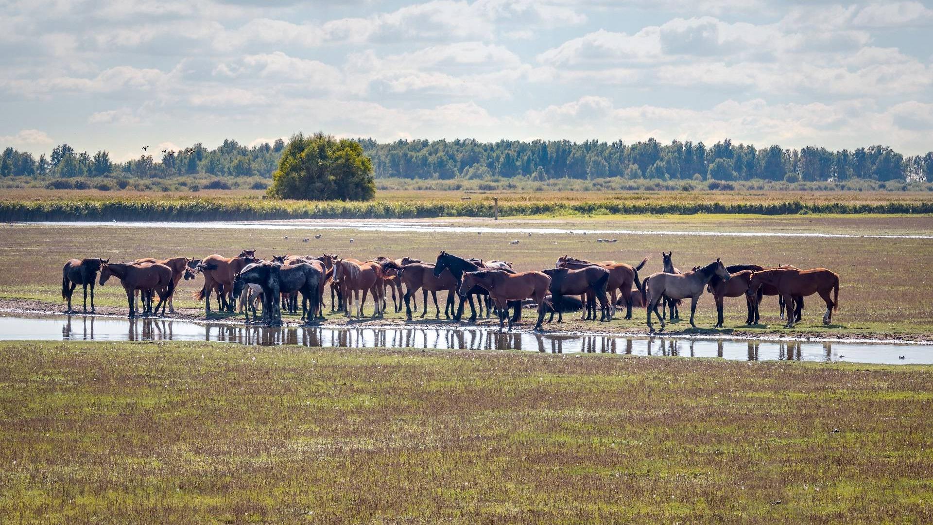 Dag 3 - Fietsvakantie Groningen en het Hogeland