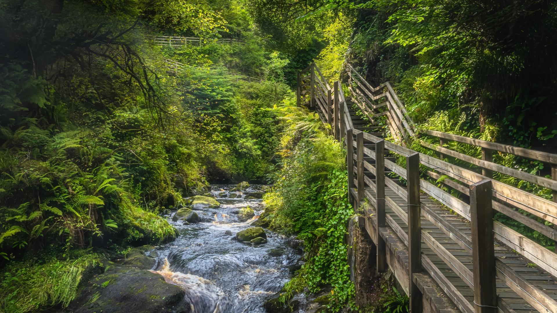 Dag 2 - Wandelvakantie Noord-Ierland - Giant’s Causeway Coastal Route - 8 dagen