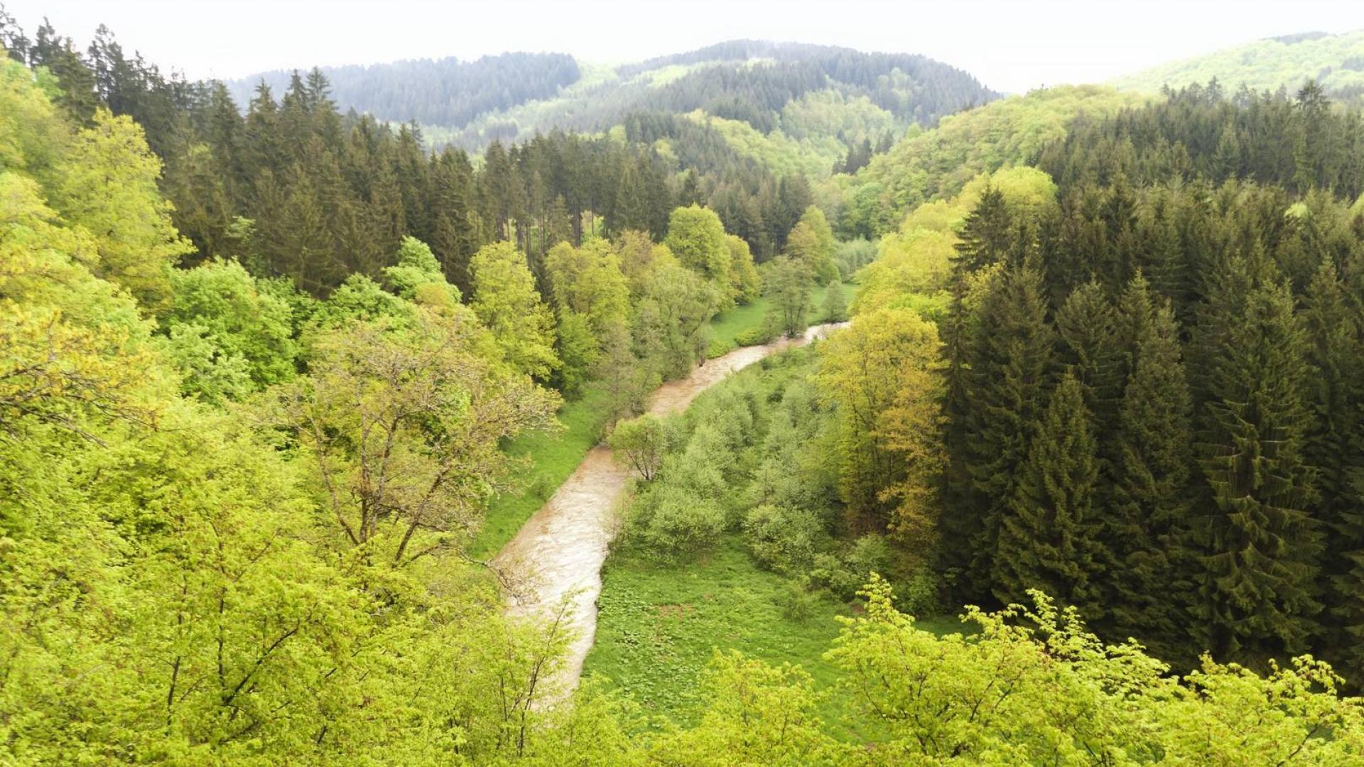 Dag 2 - Singlereis Wandelen Matthiasweg Hallschlag-Dasburg