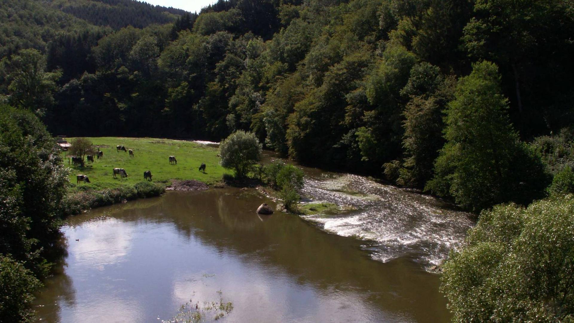 Dag 3 - Singlereis Wandelen Matthiasweg Hallschlag-Dasburg