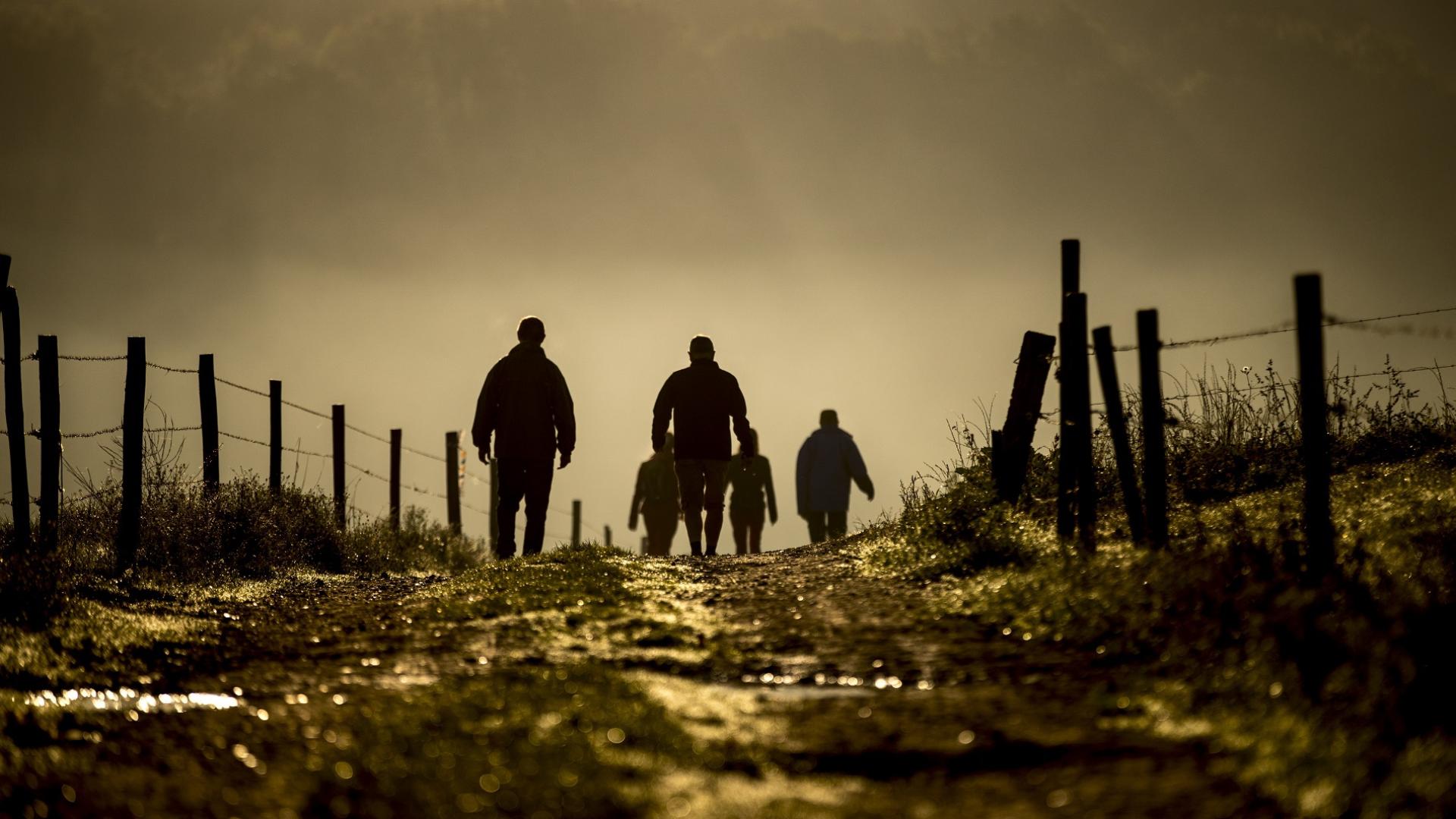 Dag 4 - Singlereis Wandelen door de Brabantse Kempen Kerst