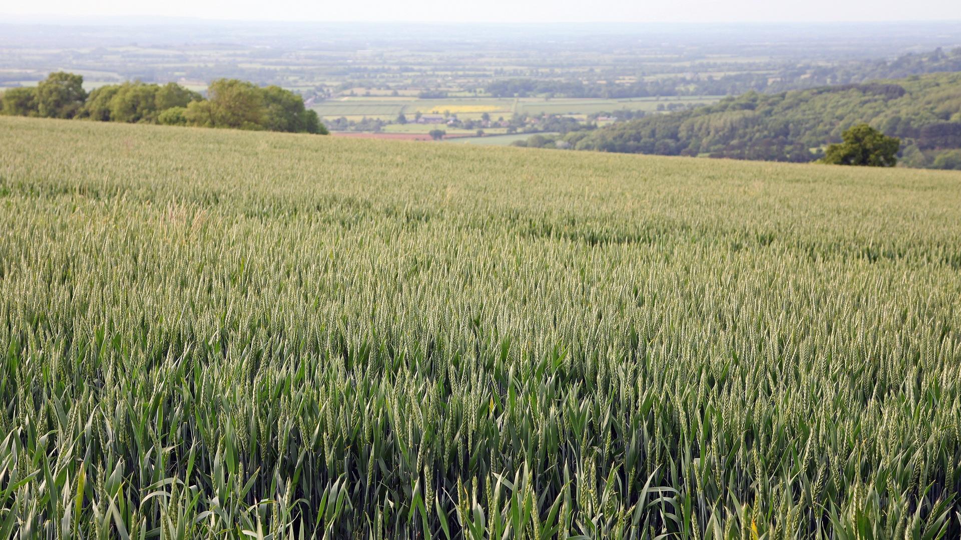 Dag 5 - Wandelvakantie Cotswolds