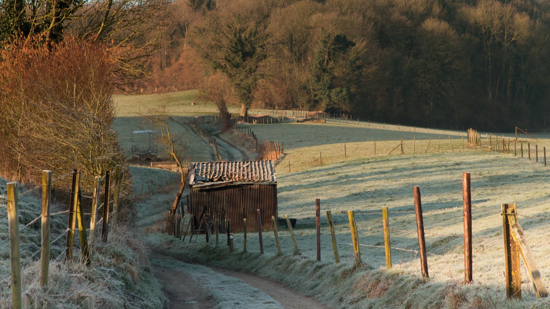 Dag 4 - Singlereis Wandelen Limburgs Krijtland Kerstvakantie
