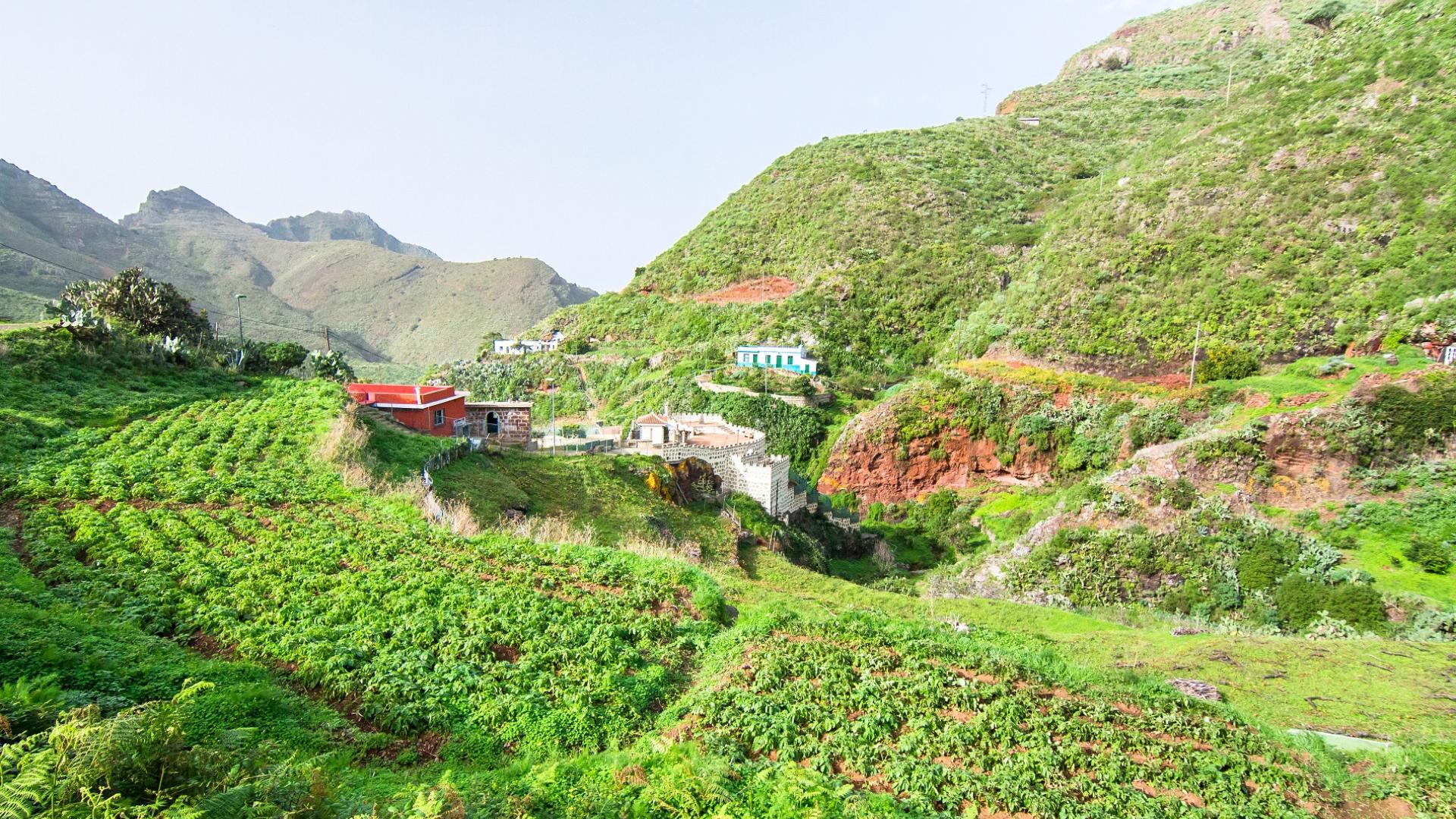 Dag 4 - Wandelvakantie Tenerife