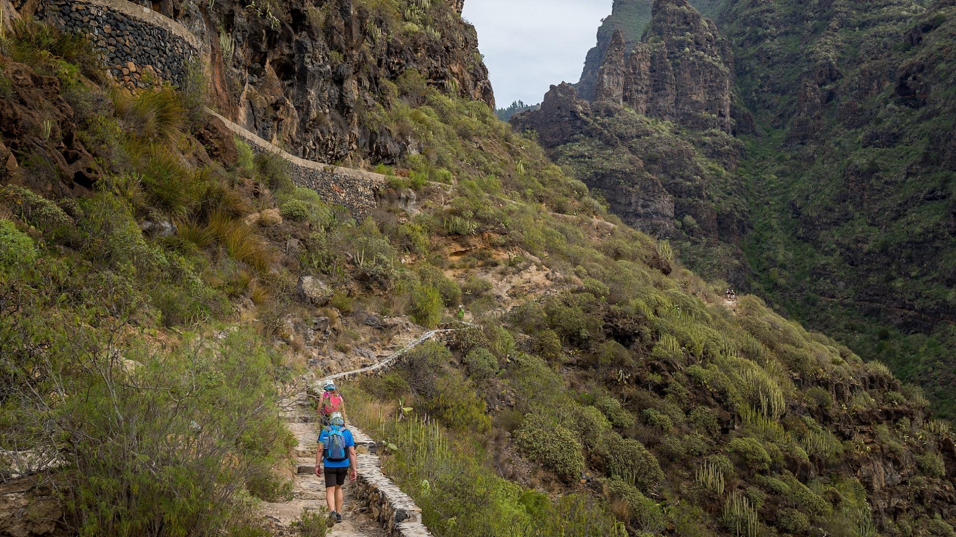 Dag 6 - Wandelvakantie Tenerife