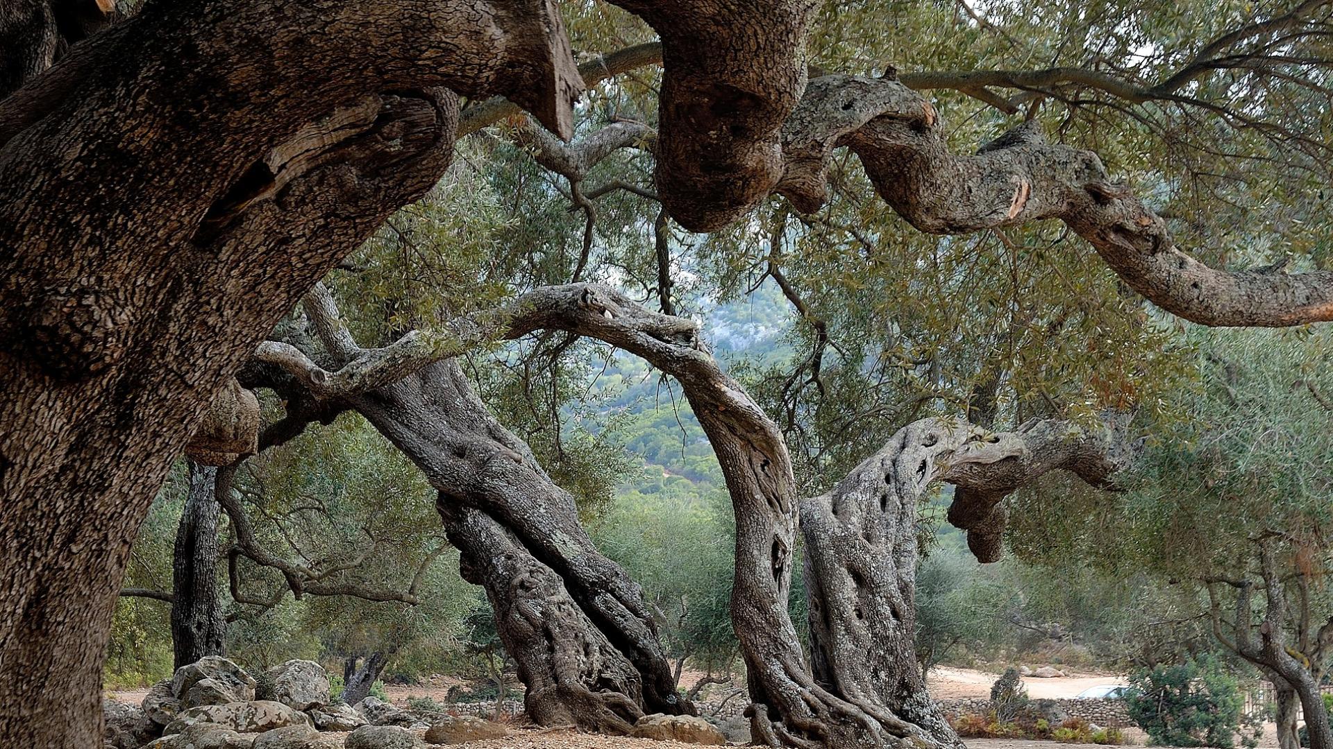 Dag 4 - Wandelvakantie Sardinië