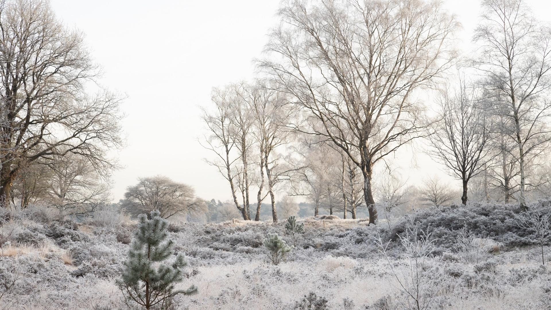 Dag 1 - Singlereis Wandelen in de Peel (Asten) Kerst