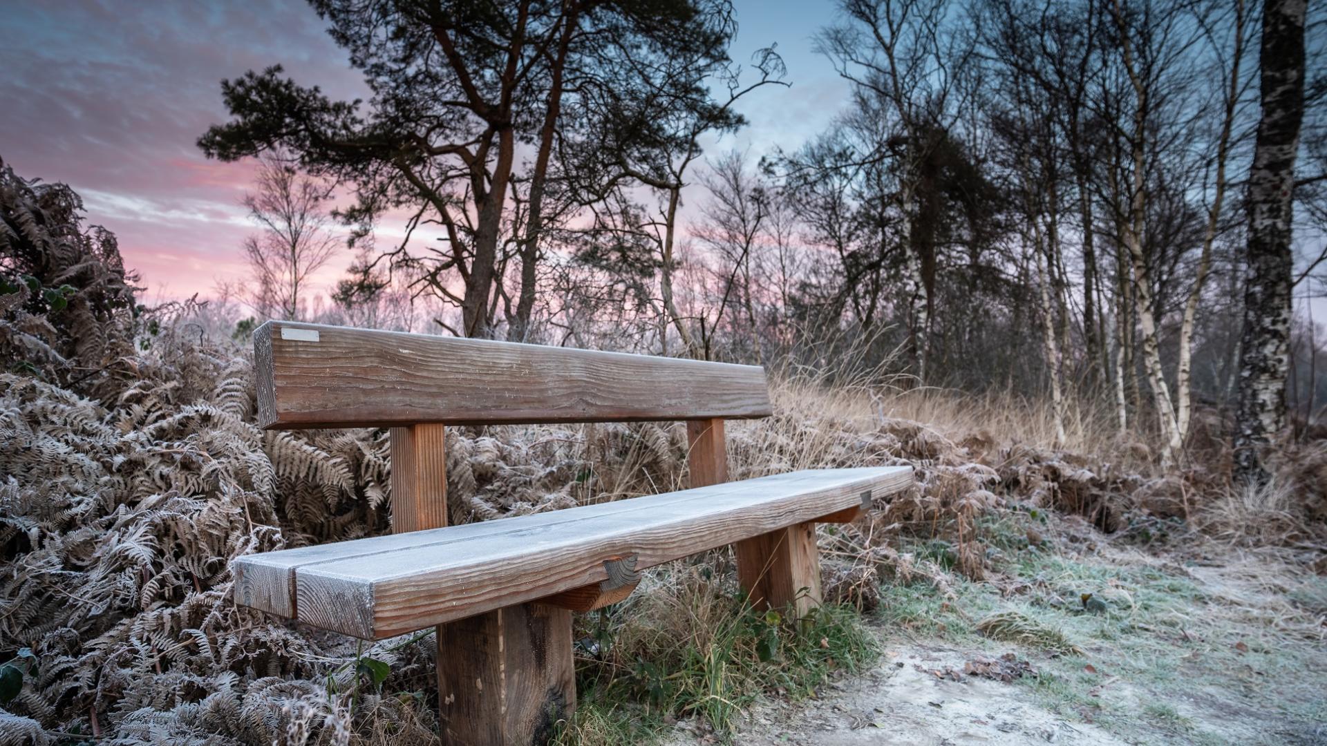 Dag 3 - Singlereis Wandelen in de Peel (Asten) Kerst