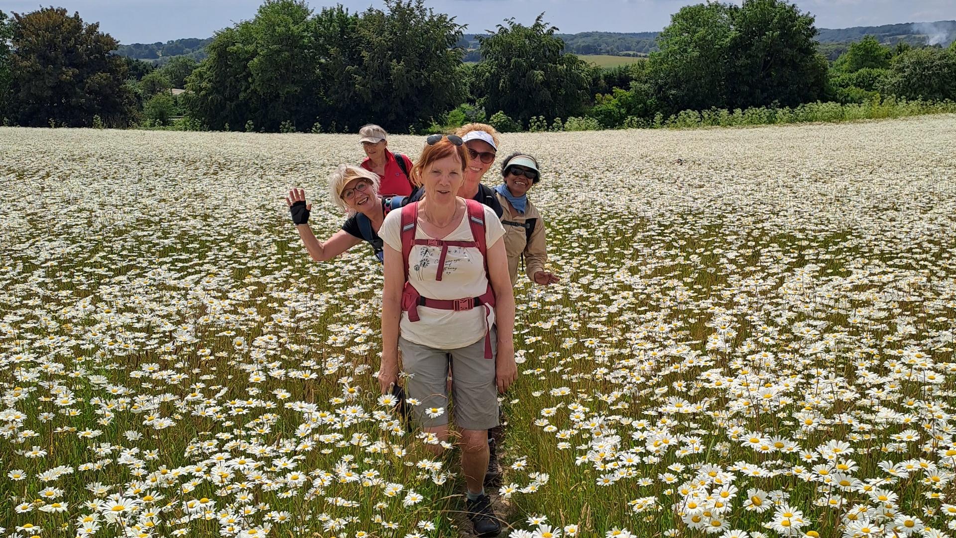 Dag 2 - Singlereis Wandelen Kent Canterbury