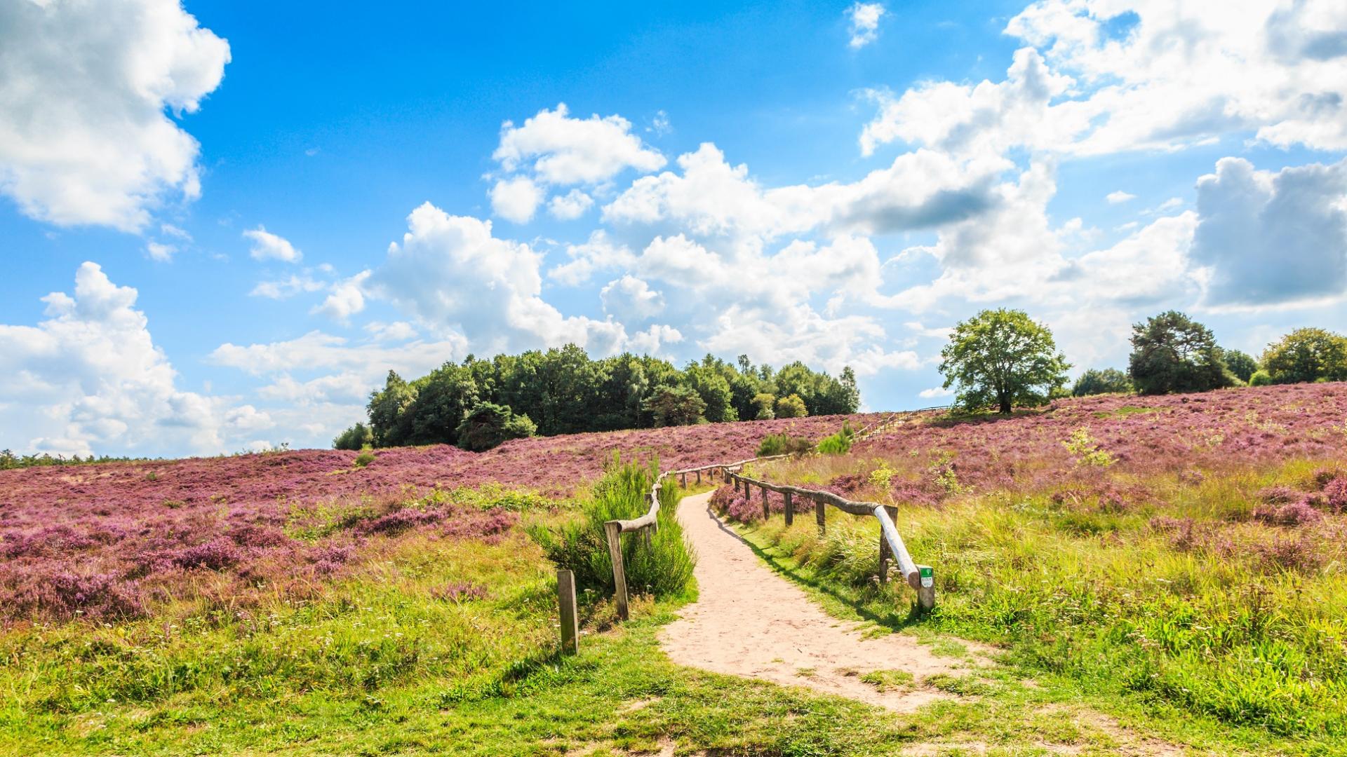 Dag 3 - Singlereis Wandelen de Kop van Overijssel en Drenthe