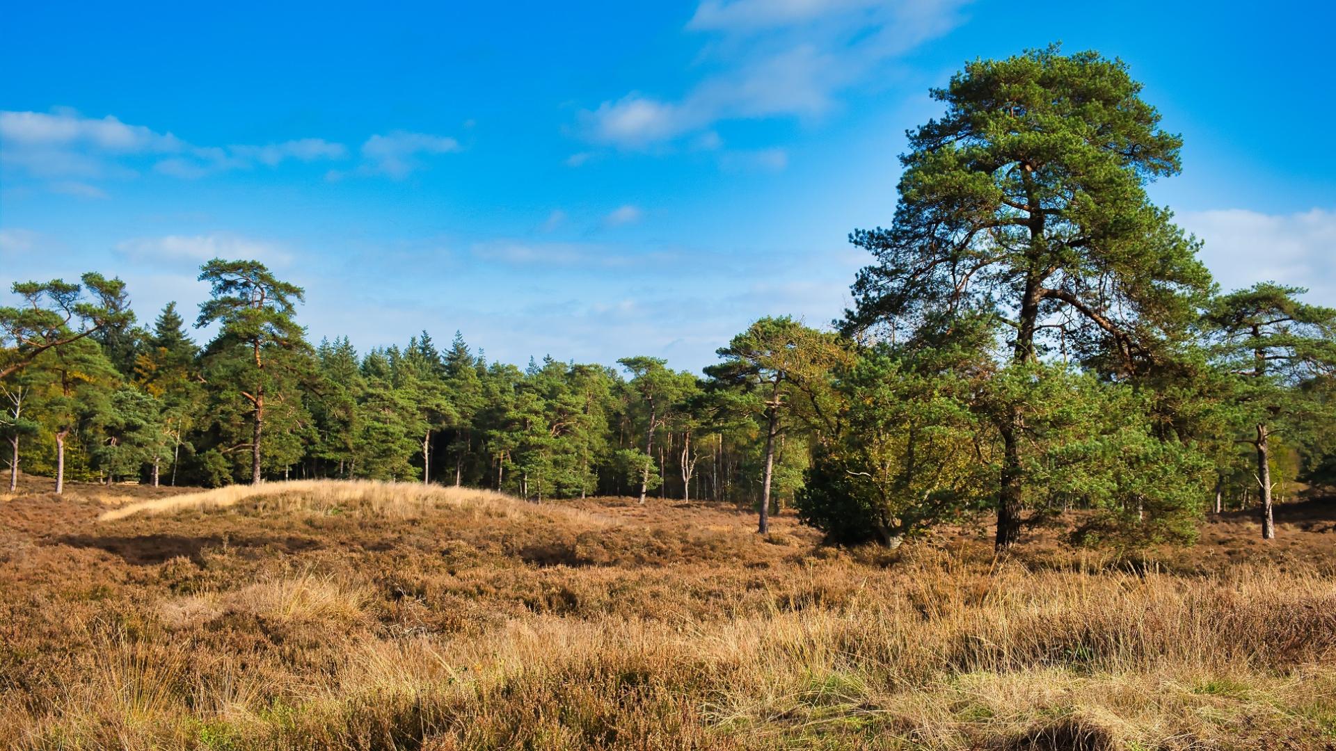 Dag 4 - Singlereis Wandelen de Kop van Overijssel en Drenthe
