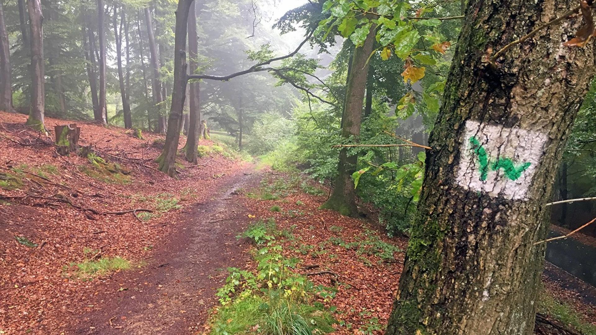 Dag 1 - Singlereis Wandelen  Westerwald (Hausen) kerstvakantie