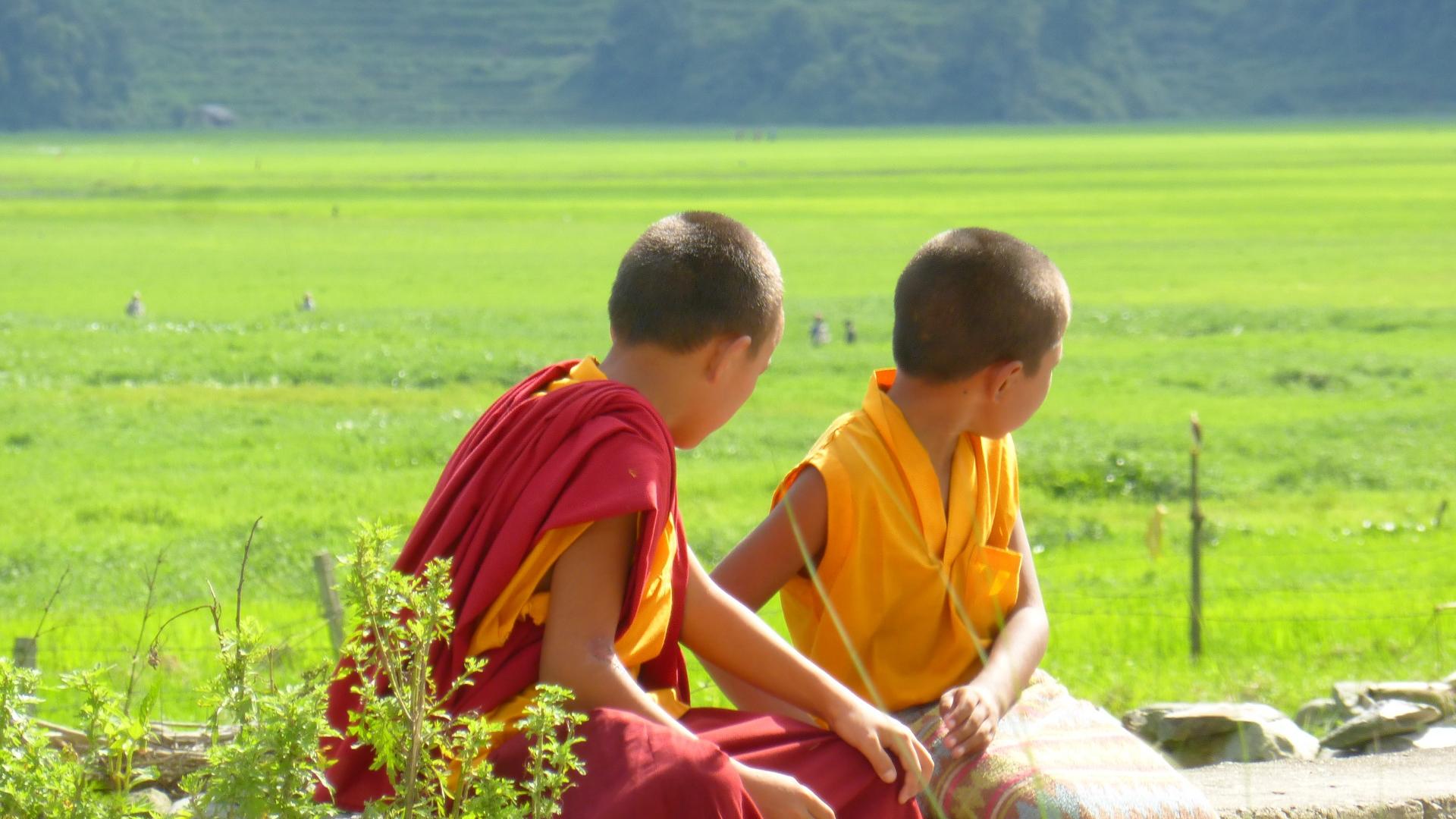 Dag 7 - Singlereis Nepal