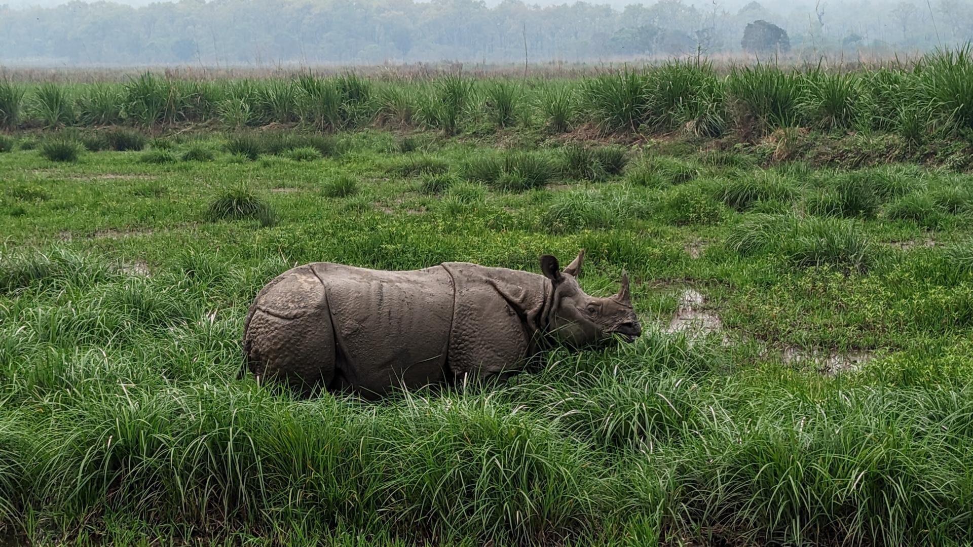 Dag 14 - Singlereis Nepal