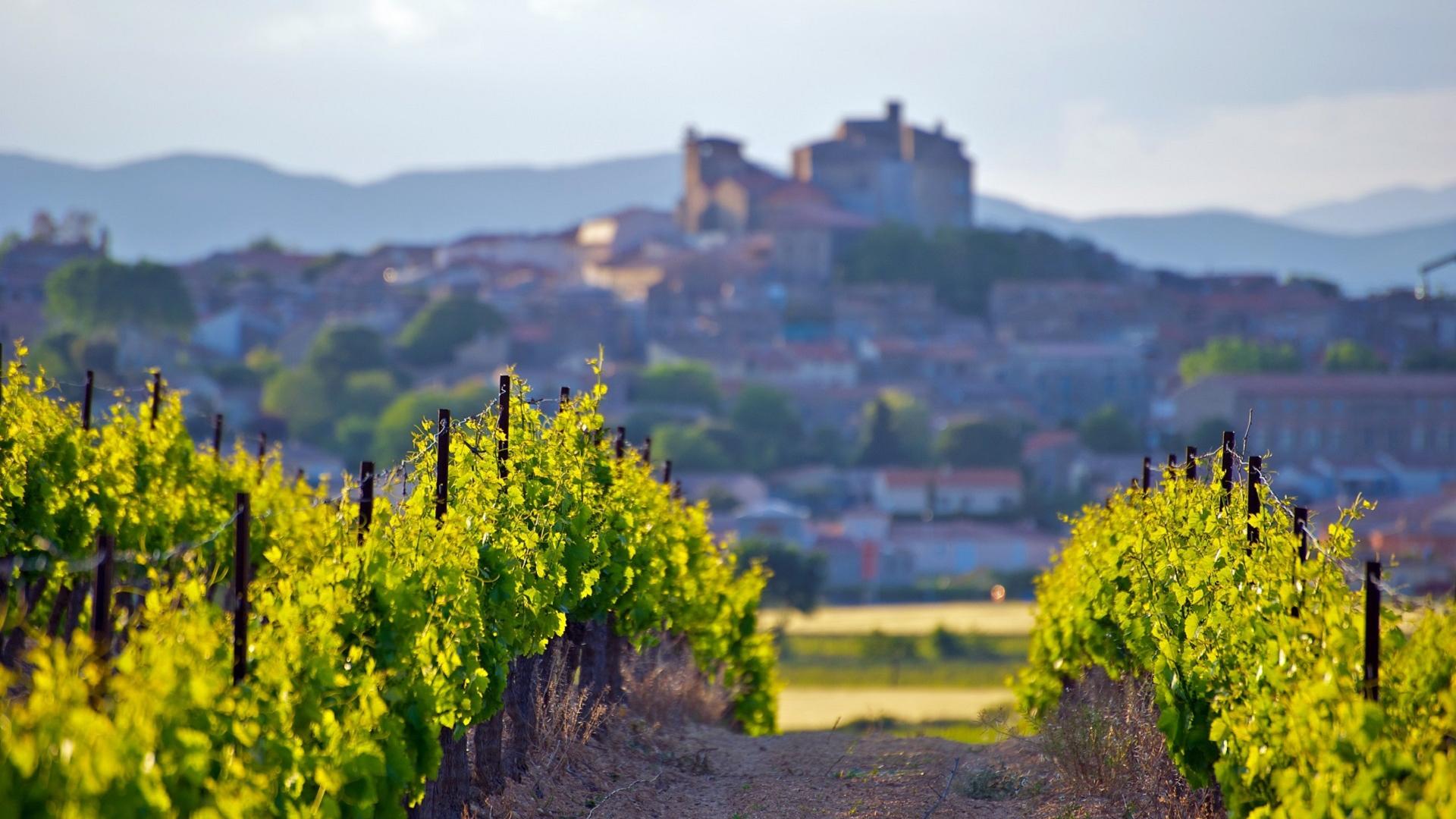 Dag 2 - Singlereis fietsen in de Provence
