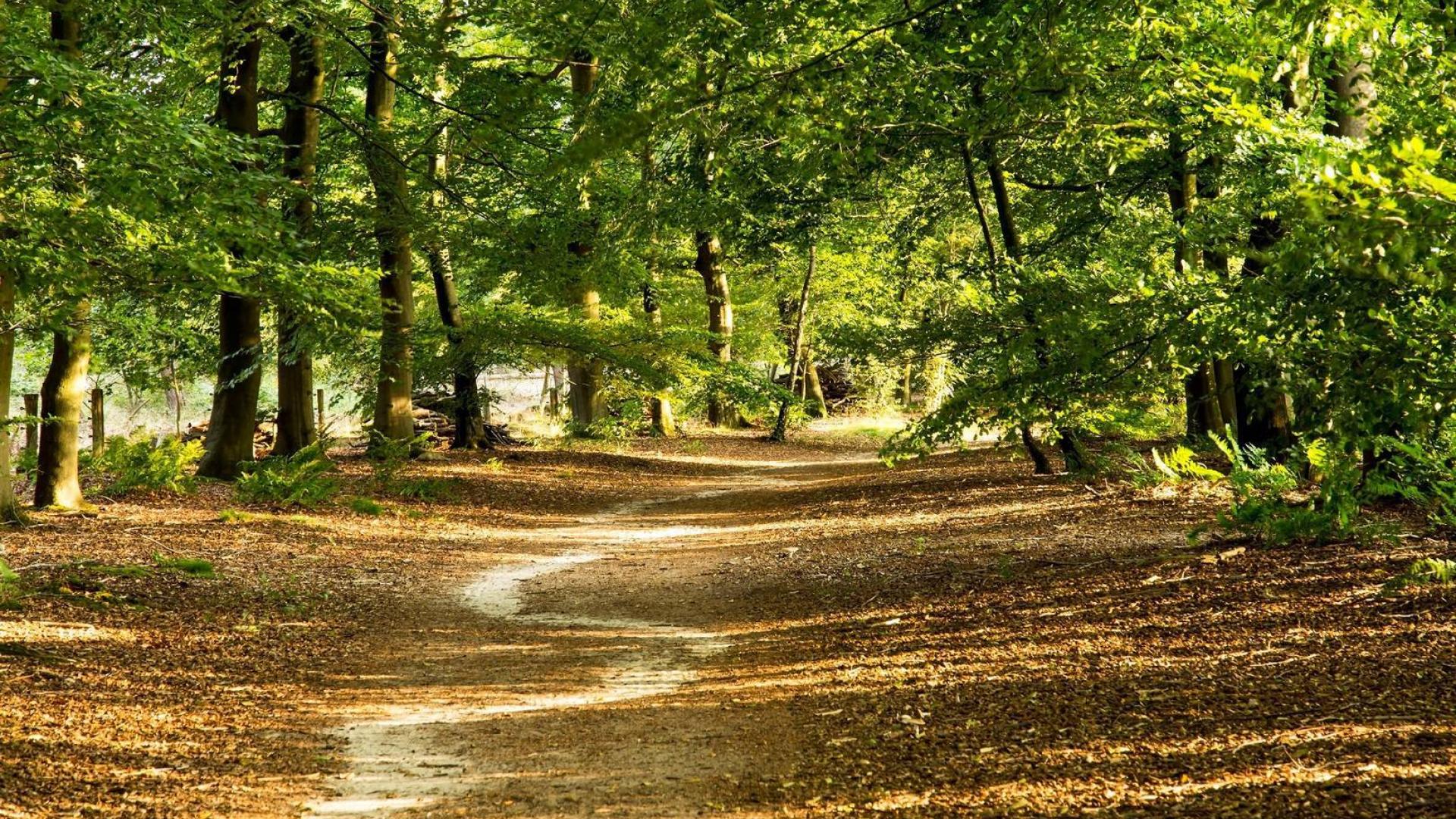 Dag 3 - Singlereis Wandelen in Twente