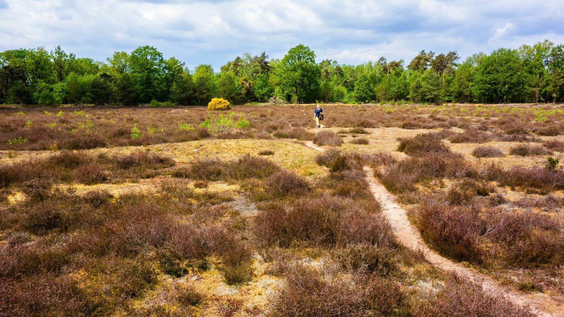 Dag 2 - Singlereis Wandelen in Twente
